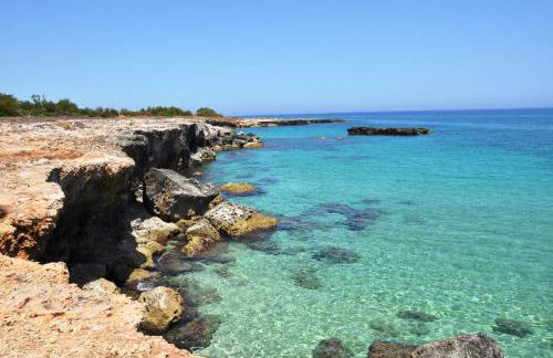 PalmaFlora villa con trulli - Foto 32