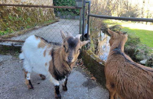 SAGE Studio - Foto 20