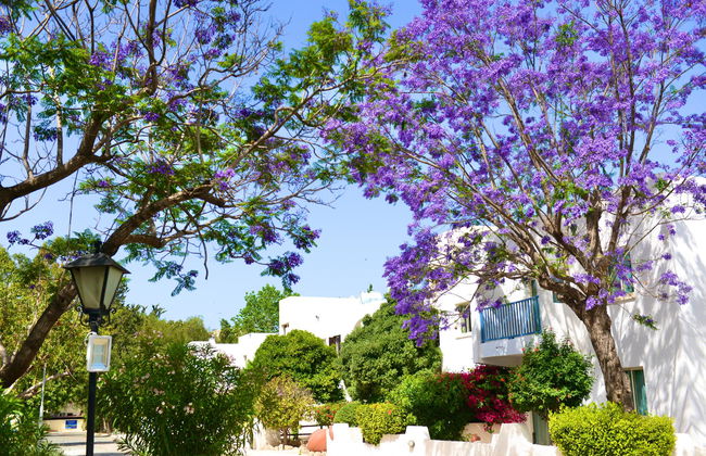 Paphos Gardens Holiday Resort - Foto 2