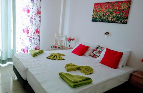 Meletis Studios - Foto 2