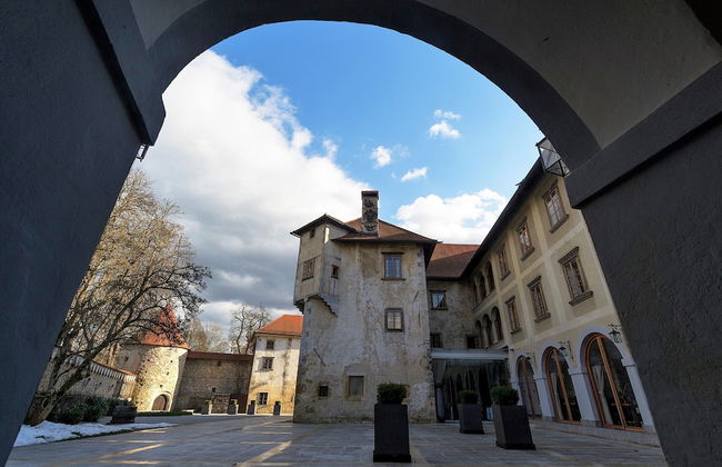 Vineyard Cottage Radovlja With Sauna - Foto 20