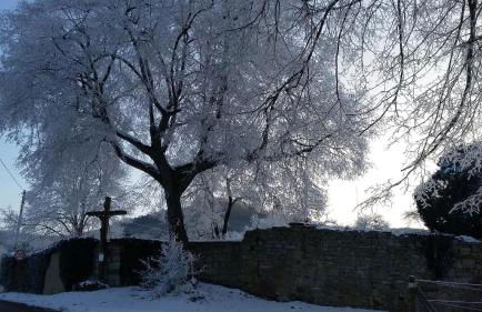 Ferienwohnungen Lindleshof - Foto 39