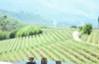 Agritur Casteller - Photo 116