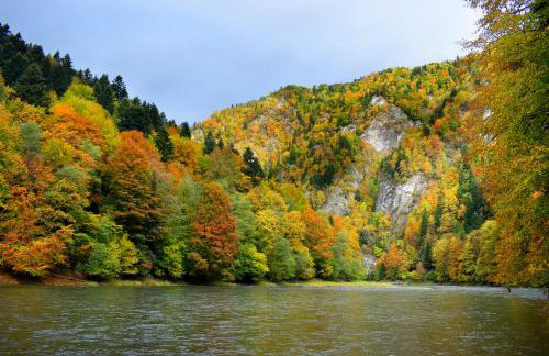 Agroturystyka Chmiel - Foto 63