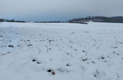 Ferienwohnung 'Frühauf' im Südharz OT Uftrungen - Foto 62
