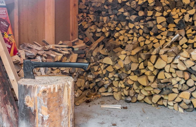 Saimaanhovi - Foto 29