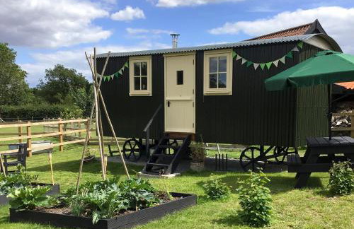 Beeches Shepherd Hut - Foto 11