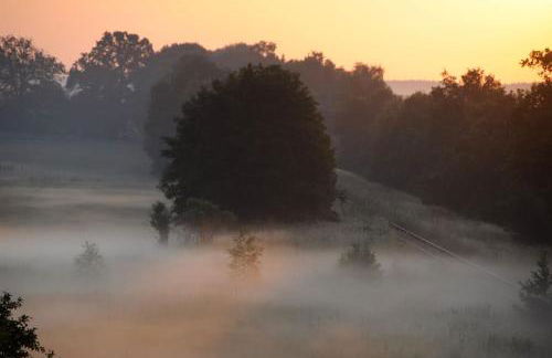 Romantisches Studio am Waldesrand mit Gartensauna - Foto 57