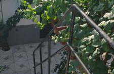 Apartamento H - 2 quartos - Foto 20