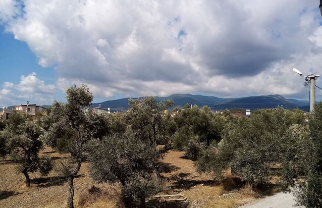 Yazduf Family Homes - Foto 40