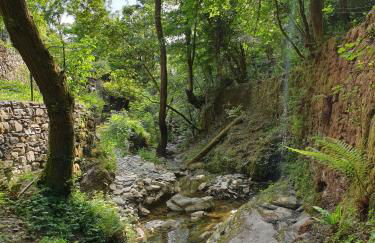 Collina e mare - Foto 8