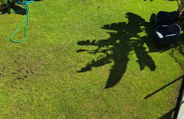 CASA GIRASSOL " uma Janela para o Nascer do Sol " - Foto 23