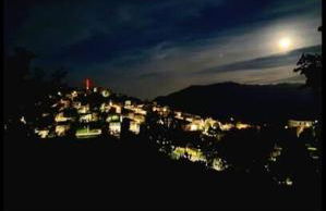 Vivi la natura PT - Photo 26