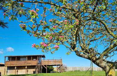 The Viewpoint - Foto 1