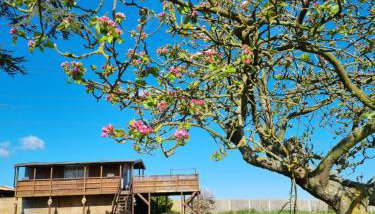 The Viewpoint - Foto 1