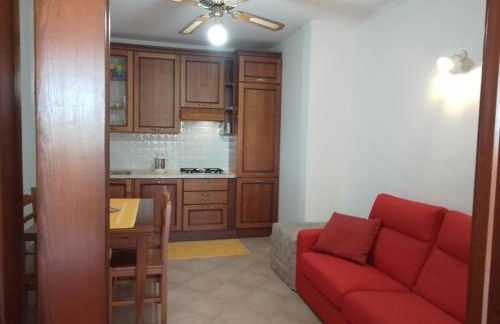 Bilo Noel - Photo 14