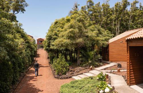 Alma do Pico - Nature Residence - Photo 42