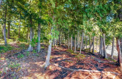 Prong Mountain - Foto 24