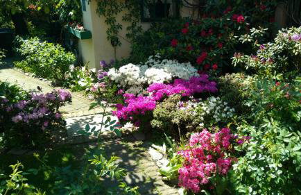 Słoneczne apartamenty - Photo 29