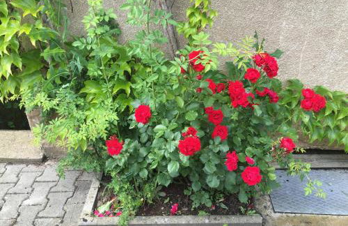 Apartment Gosberg - 90qm - Foto 3