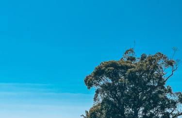 Apartamento Penha Beira Mar Beto Carrero World - Foto 22