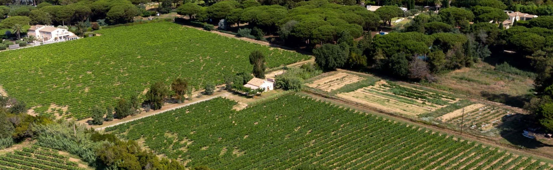 Visite privée dans un domaine viticole à Saint-Tropez + Dégustation