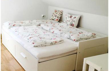 Elegante Ferienwohnung mit Kaminofen im Thüringer Wald - Foto 8