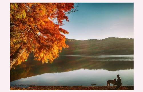 Agriturismo Il Riccio - Foto 20