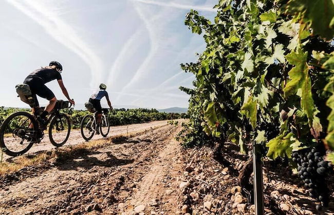 Agriturismo Arcera - Foto 32