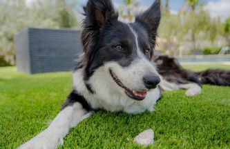 Villa Rural Avril - Foto 7