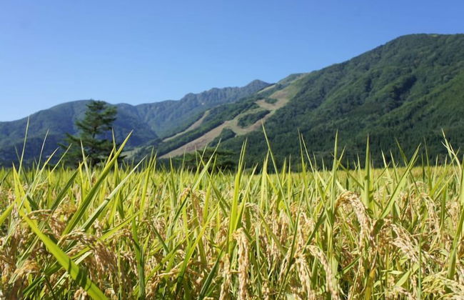 Balls Deep Inn Hakuba - Foto 15