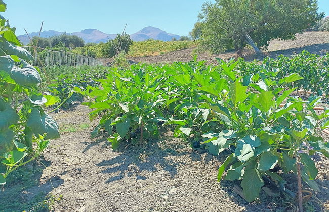 agriturismo le campanelle - Foto 71