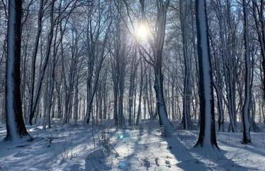 Ferienloft Ottos Werkstatt mit Saunafass - Foto 25