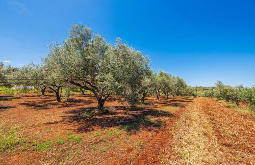 KrinesGReece - Foto 51