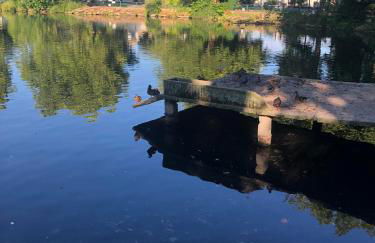 PARIS et CDG - Foto 11