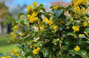 Newly renovated Stables conversion - Foto 31