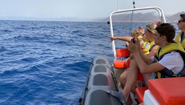 Avistamiento de cetáceos en la península de Jandía