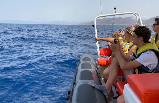 Fuerteventura Dolphin & Whale Watching by Speedboat + Snorkel - Foto 3