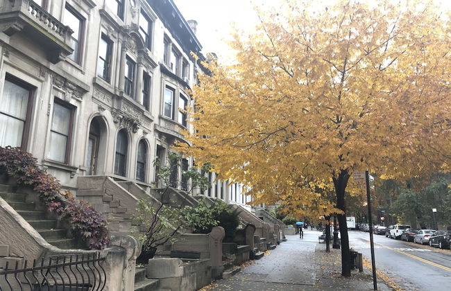 Hamilton Suites - Foto 12