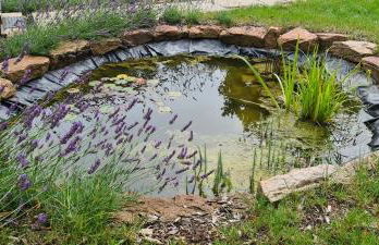 Neu 2023! Chalet Wasserkuppe Whirlpool u. Sauna - Foto 11