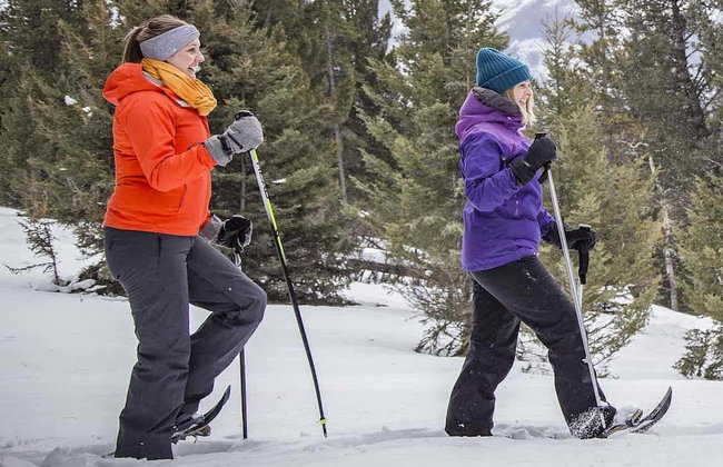 Paseo con raquetas de nieve por Banff - Foto 8