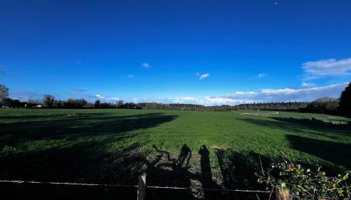 Kika's Country House Overlooking Fields - Foto 2, Garden view