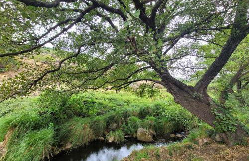 Gata Maitea -Apart Ama- Sierra de Gata - Foto 16