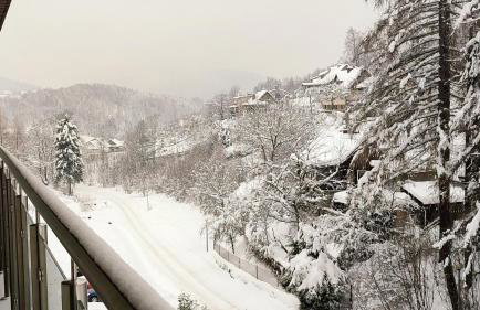 Czarodziejska Góra Kozubnik Daglezja - Foto 16