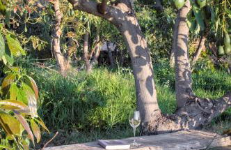 La casa de La Cartita - Foto 11