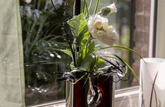 Ferienwohnungen Schoofs - Foto 31