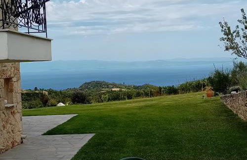 Κτήμα Verde - Foto 39