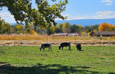 Peaceful, Private and Airy on a 5 acre farm - Foto 10