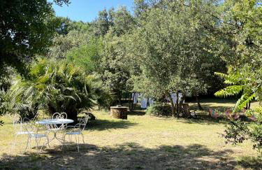 Michita Oleron proche Plage et forêt - Foto 6