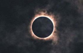 Grizzly Roadhouse Bed and Breakfast - Foto 38